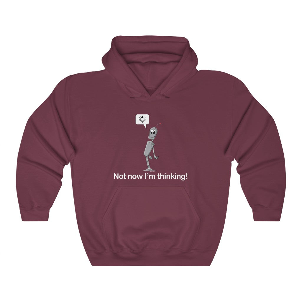 Not now I'm thinking! Hoodie